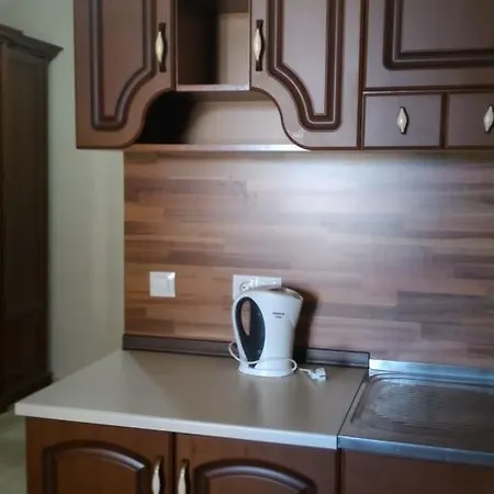 Tatyana Apartment